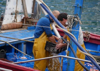 Pescadors a port